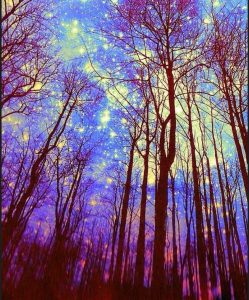 love, love quotes, peace, harmony, connected, wholeness, wholesome, care, together, happiness, evolution, enlighten, enlightenment, health, inner peace, meditation, beauty, liberation, liberation-freedom, liberation freedom, parisha, pa'ris'ha, parisha taylor, photo, mind, existence, thoughts, inner thoughts, inward, life, living being, nature, conscious, consciousness