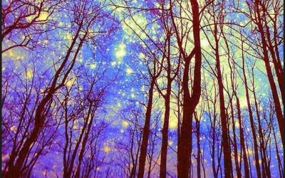 Mind Is Intricately Woven Into What Is Real