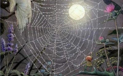 Spider Mother Weaves Life’s Web
