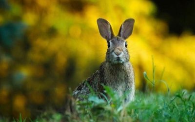 The Eternal Question – Who Are We?