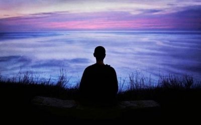 Are You Seeking?