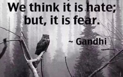 FEAR – False Evidence Appearing Real…