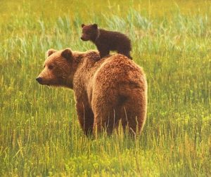 love, love quotes, peace, harmony, connected, wholeness, wholesome, care, together, happiness, evolution, enlighten, enlightenment, health, inner peace, meditation, beauty, liberation, liberation-freedom, liberation freedom, parisha, pa'ris'ha, parisha taylor, photo, mind, existence, thoughts, inner thoughts, inward, life, living being, nature, conscious, consciousness