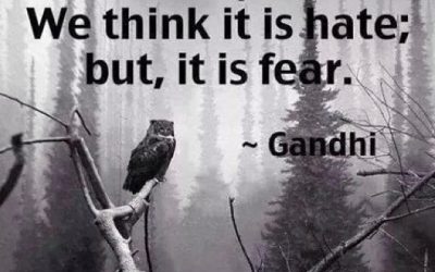 Fear is False Evidence Appearing Real