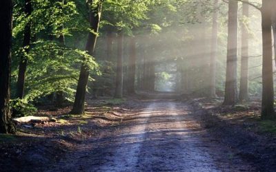 We Look Down The Road To Our Future…
