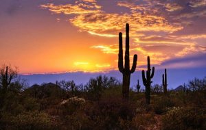 love, love quotes, peace, harmony, connected, wholeness, wholesome, care, together, happiness, evolution, enlighten, enlightenment, health, inner peace, meditation, beauty, liberation, liberation-freedom, liberation freedom, parisha, pa'ris'ha, parisha taylor, photo, mind, existence, thoughts, inner thoughts, inward, life, living being, nature, conscious, consciousness