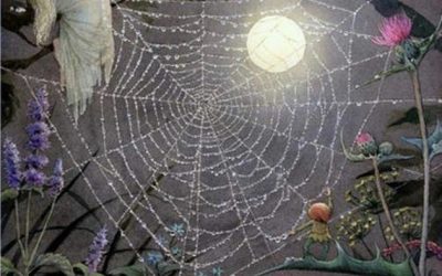 Spider Mother Weaves Life’s Web