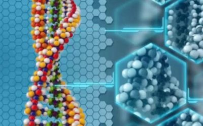 DNA – Surprisingly Easy To Reprogram!