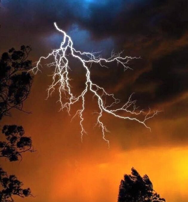 What Is Our Purpose Here?