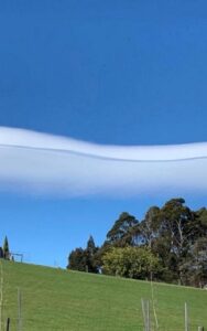 peace, love, love quotes, peace, harmony, connected, wholeness, wholesome, care, together, happiness, evolution, enlighten, enlightenment, health, inner peace, meditation, beauty, liberation, liberation-freedom, liberation freedom, parisha, pa'ris'ha, parisha taylor, photo, mind, existence, thoughts, inner thoughts, inward, life, living being, nature, conscious, consciousness