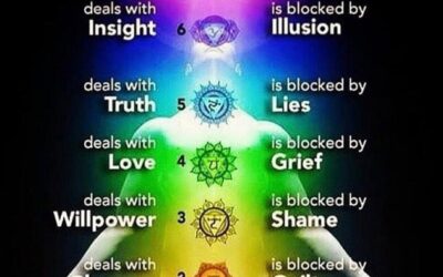 What Is True Wisdom?