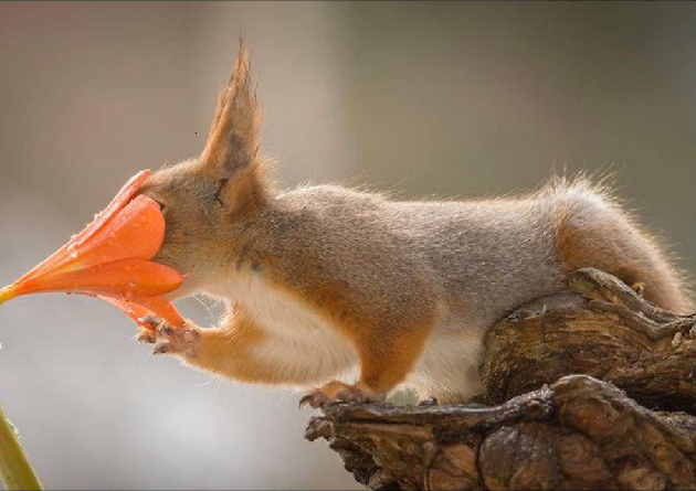 Create A Healthy Morning Routine