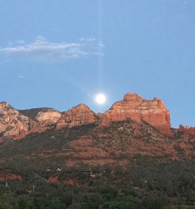 Don’t Waste Yourself