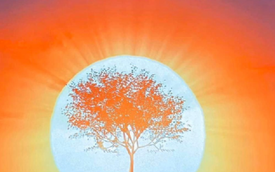 Consider The Significance of Your Nature…