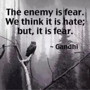 fear, love, love quotes, peace, harmony, connected, wholeness, wholesome, care, together, happiness, evolution, enlighten, enlightenment, health, inner peace, meditation, beauty, liberation, liberation-freedom, liberation freedom, parisha, pa'ris'ha, parisha taylor, photo, mind, existence, thoughts, inner thoughts, inward, life, living being, nature, conscious, consciousness