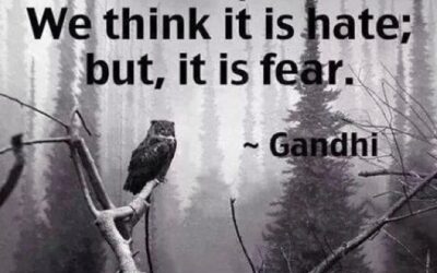 Fear is False Evidence Appearing Real