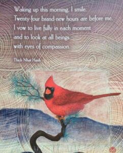 living, love, love quotes, peace, harmony, connected, wholeness, wholesome, care, together, happiness, evolution, enlighten, enlightenment, health, inner peace, meditation, beauty, liberation, liberation-freedom, liberation freedom, parisha, pa'ris'ha, parisha taylor, photo, mind, existence, thoughts, inner thoughts, inward, life, living being, nature, conscious, consciousness