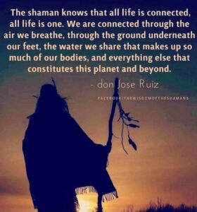 true, love, love quotes, peace, harmony, connected, wholeness, wholesome, care, together, happiness, evolution, enlighten, enlightenment, health, inner peace, meditation, beauty, liberation, liberation-freedom, liberation freedom, parisha, pa'ris'ha, parisha taylor, photo, mind, existence, thoughts, inner thoughts, inward, life, living being, nature, conscious, consciousness