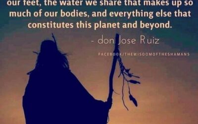 True Wisdom…