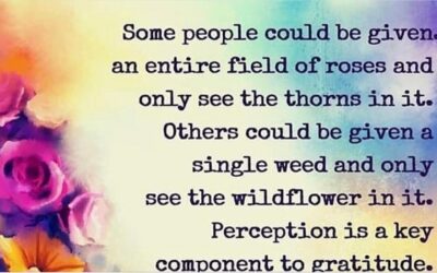 What We Seek We Find